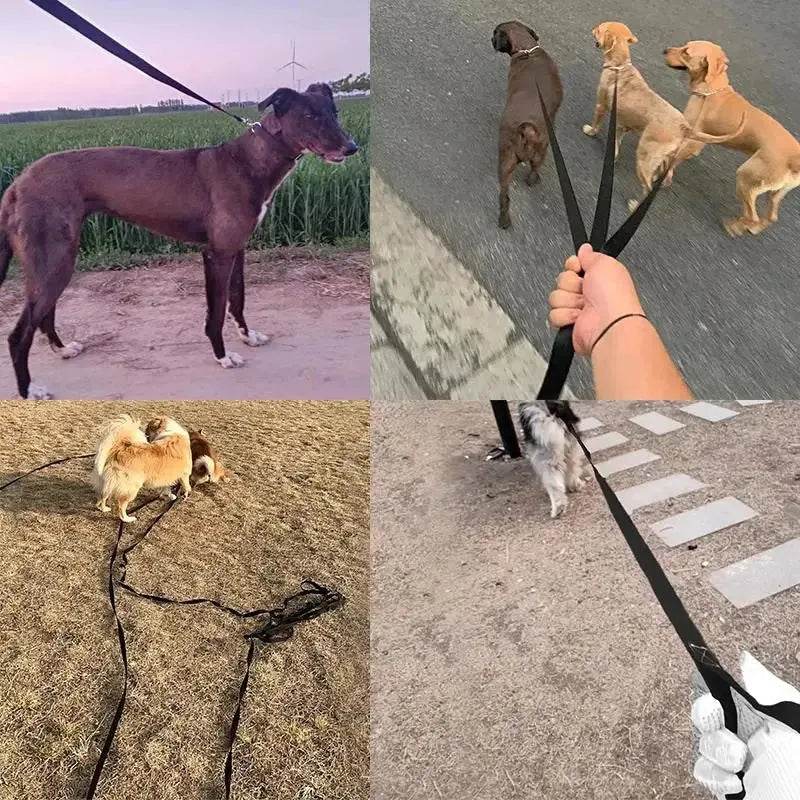 Long Nylon Pet Dog Leash For Small Big Dogs Cats Outdoor - Loja Manuel Coelho