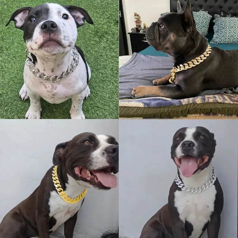 ABS Plastic Dog Collar Chain Diamond - Loja Manuel Coelho