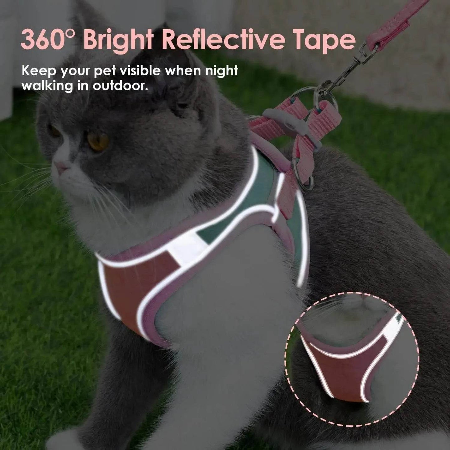 Reflective Harness Set for Cats - Night Safety Gear - Loja Manuel Coelho
