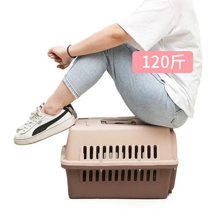 Outdoor Large Plastic Cat Cage - Portable Airline Carrier - Loja Manuel Coelho