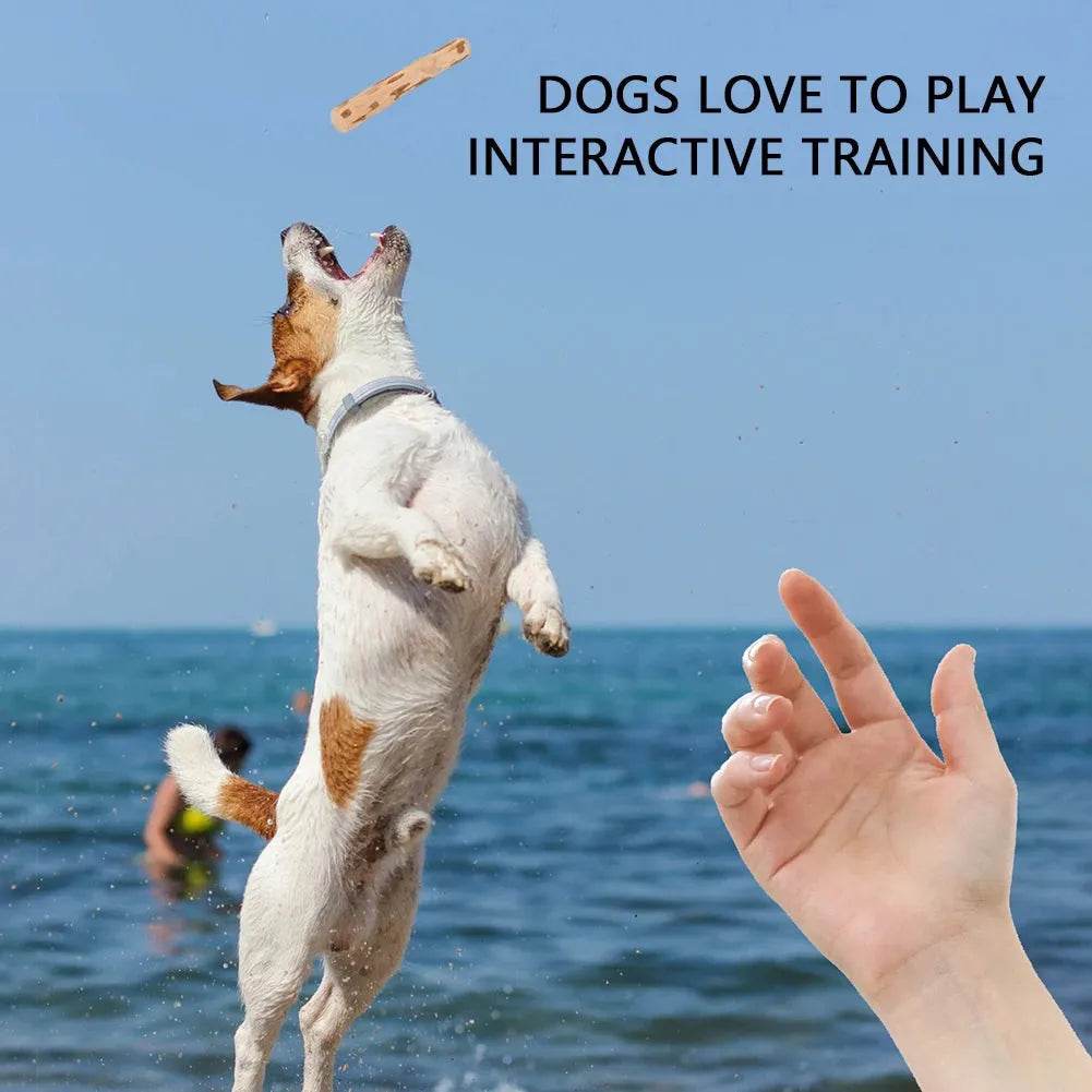 Natural Coffee Wood Dog Chew Toy | Mumbies - Loja Manuel Coelho