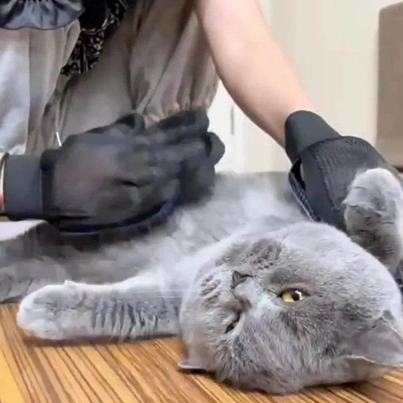 Silicone Pet Grooming Gloves for Cats & Dogs - Loja Manuel Coelho