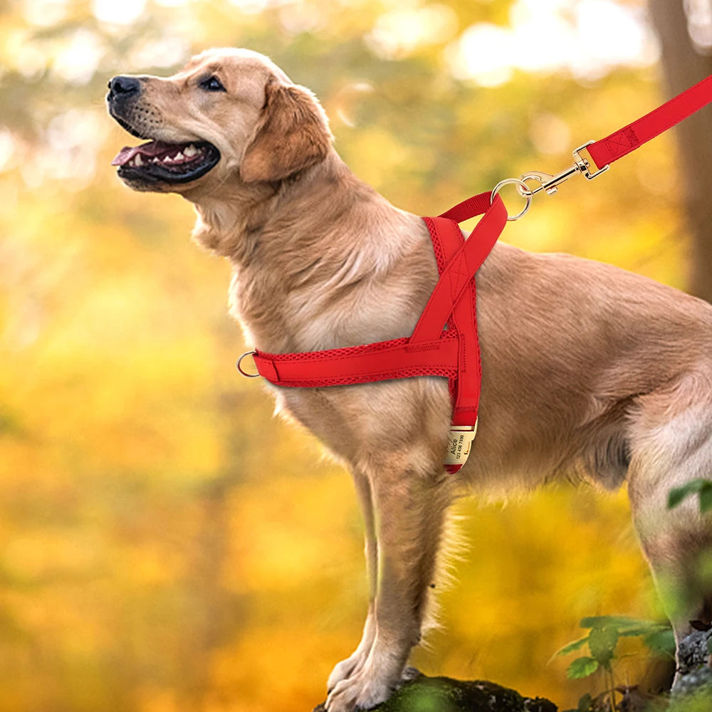 Personalized Dog Harness No Pull Dog Harnesses Adjustable Pet Walking Training