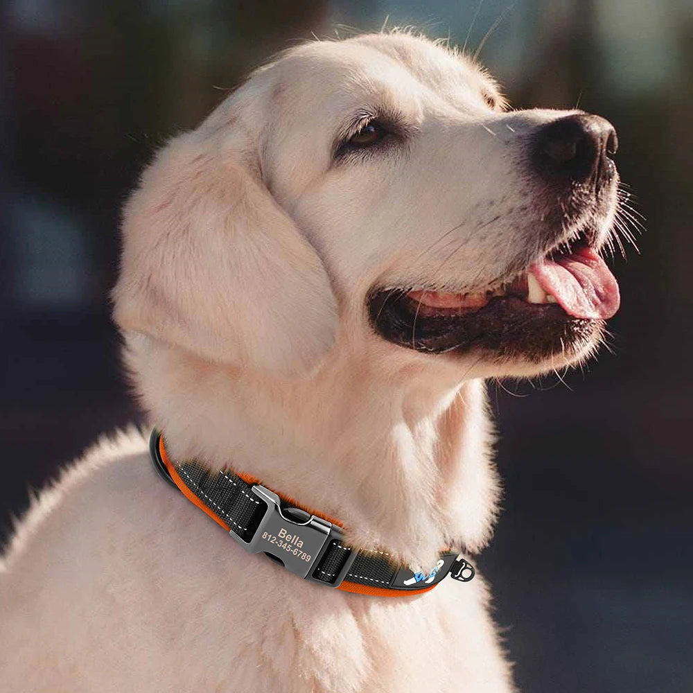 Reflective Personalized Dog Collar Engrave ID Nylon Collars Soft Padded