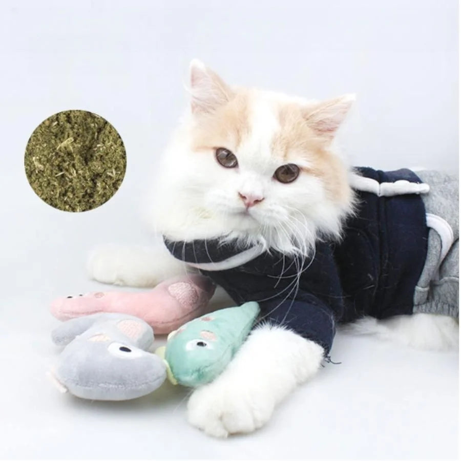 Pet Molar Bite toy Cartoon Stuffed Animal Cute Plush Cat Chew Toy
