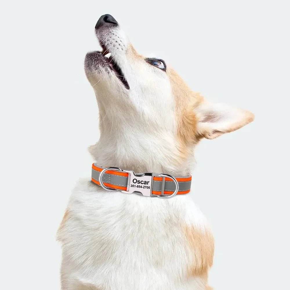 Reflective Personalized Dog Collar | Engraved ID - Loja Manuel Coelho