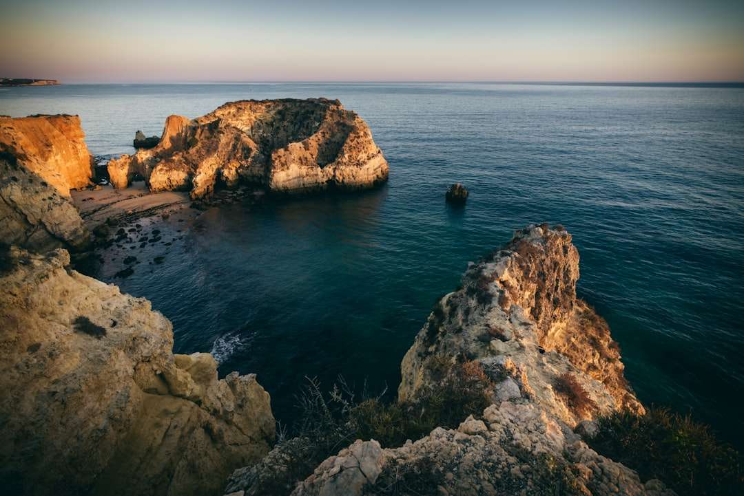 Experience Authentic Portugal: A Deep Dive into Geocakes Organic Strawberry Jam