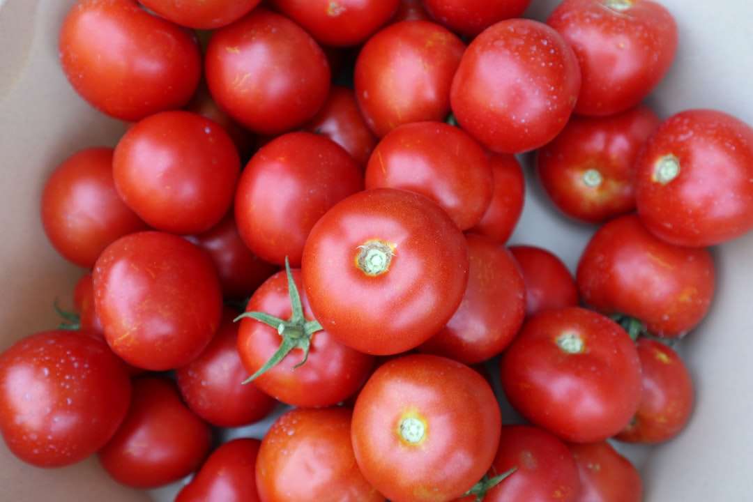 Beyond Breakfast: Unveiling the Savory Secrets of Geocakes Organic Portuguese Tomato Jam