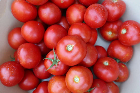 Beyond Breakfast: Unveiling the Savory Secrets of Geocakes Organic Portuguese Tomato Jam