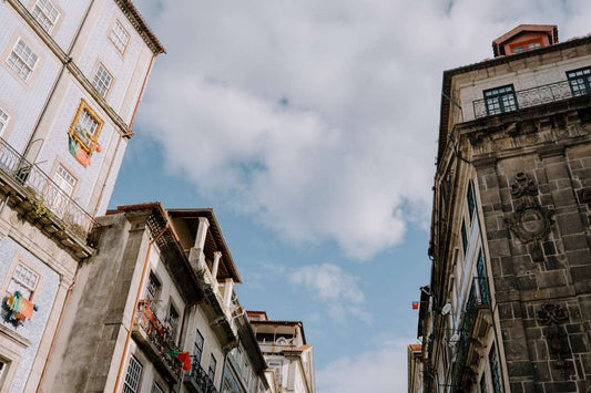 Bring Porto Home: A Culinary Exploration of Farinheira Artesanal São Gonçalo