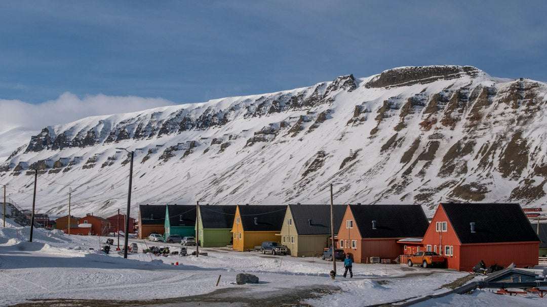 Choosing the Best Bacalhau: A Deep Dive into Icelandic Graúdo Cod Telbac Gold