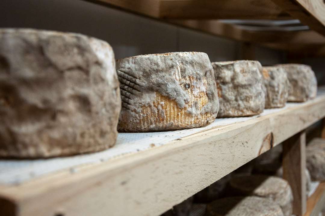 Beyond the Basics: Elevate Your Plate with João Barata Ladoeiro's Artisanal Mixed Sheep and Goat Cheese