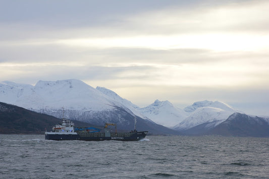 Norwegian Corrente Cod Telbac