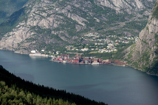 Norwegian Graúdo Cod Telbac