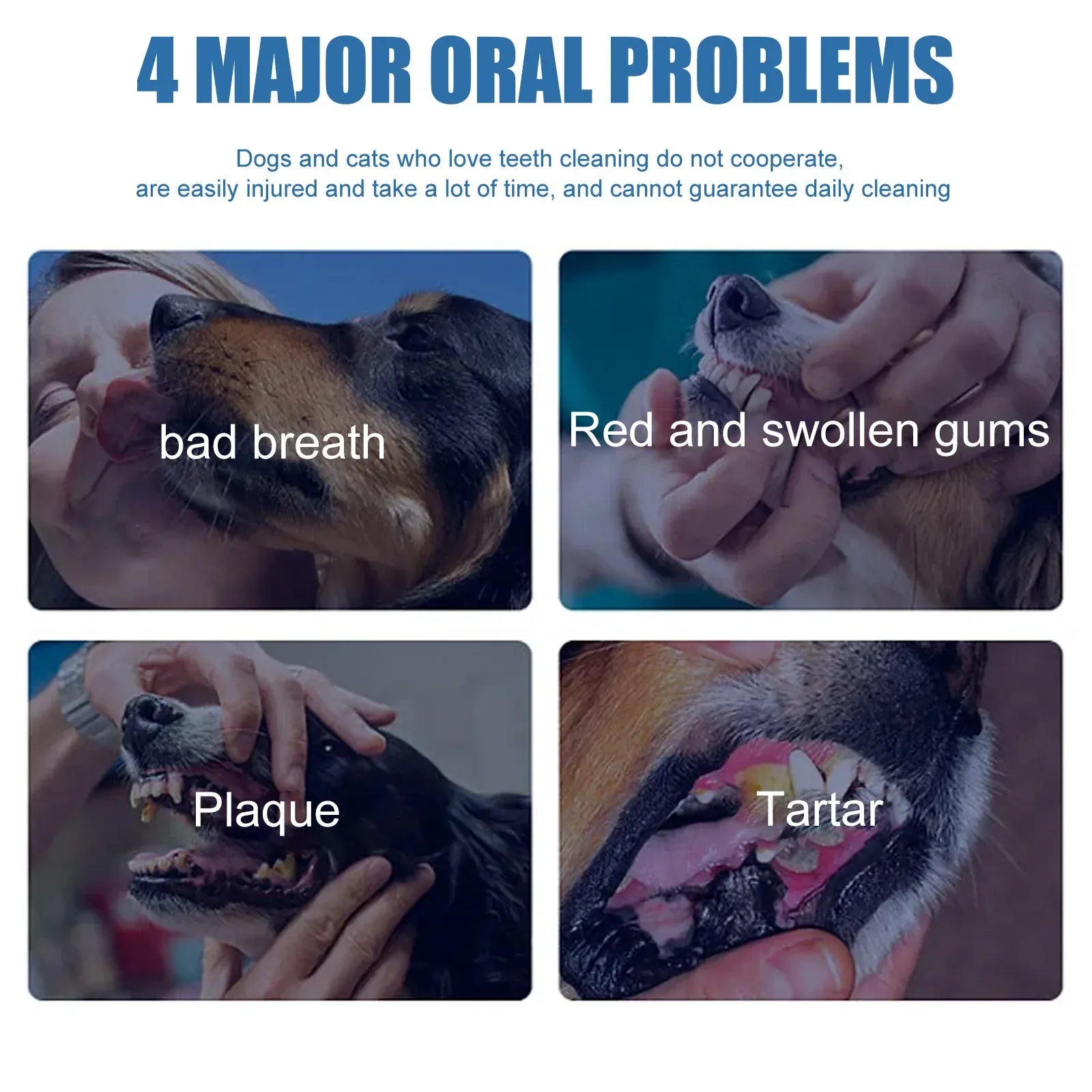 4 major oral problems in pets: bad breath, red and swollen gums, plaque, and tartar.