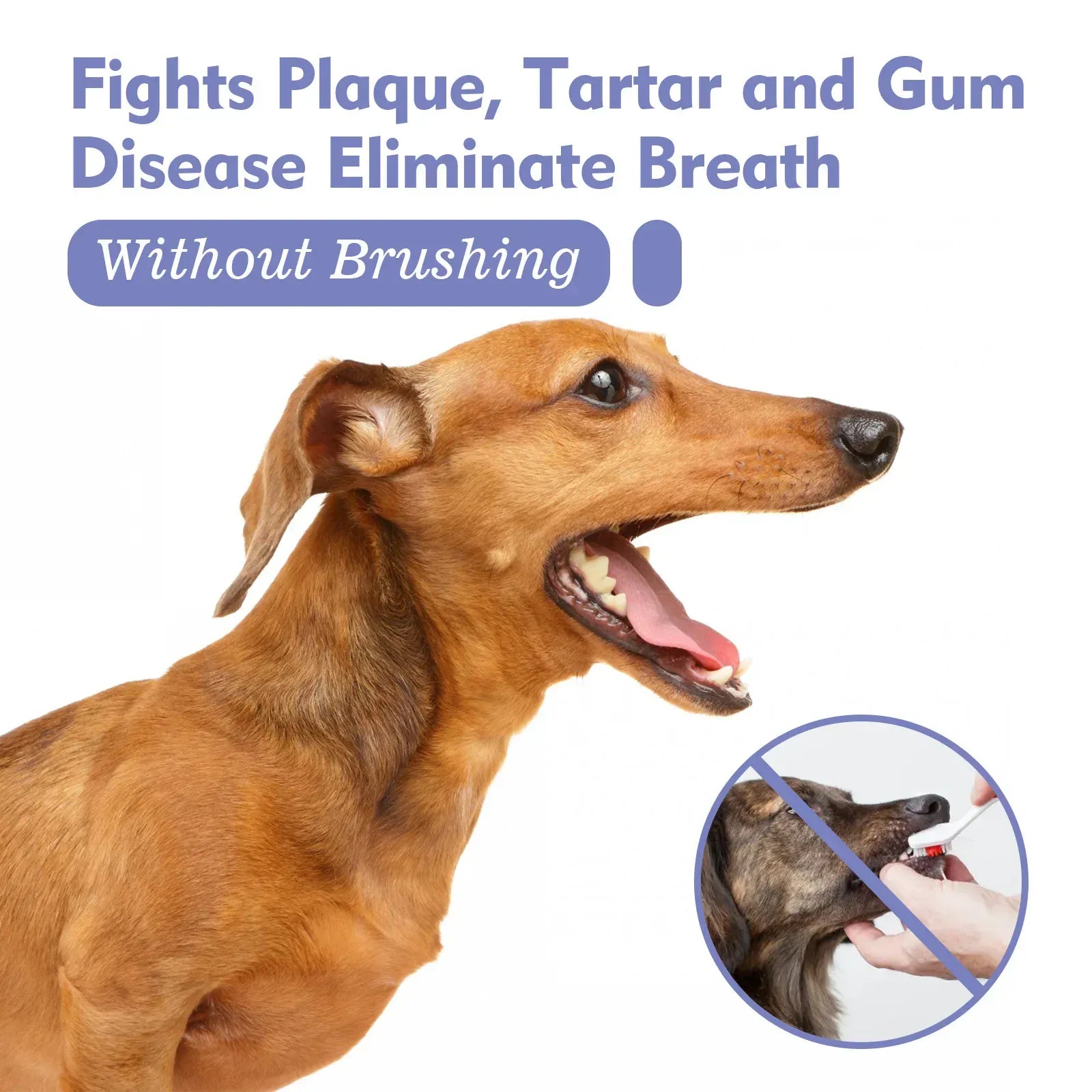 pet teeth cleaning spray Yegbong fights plaque, tartar, and gum disease for pets without brushing.