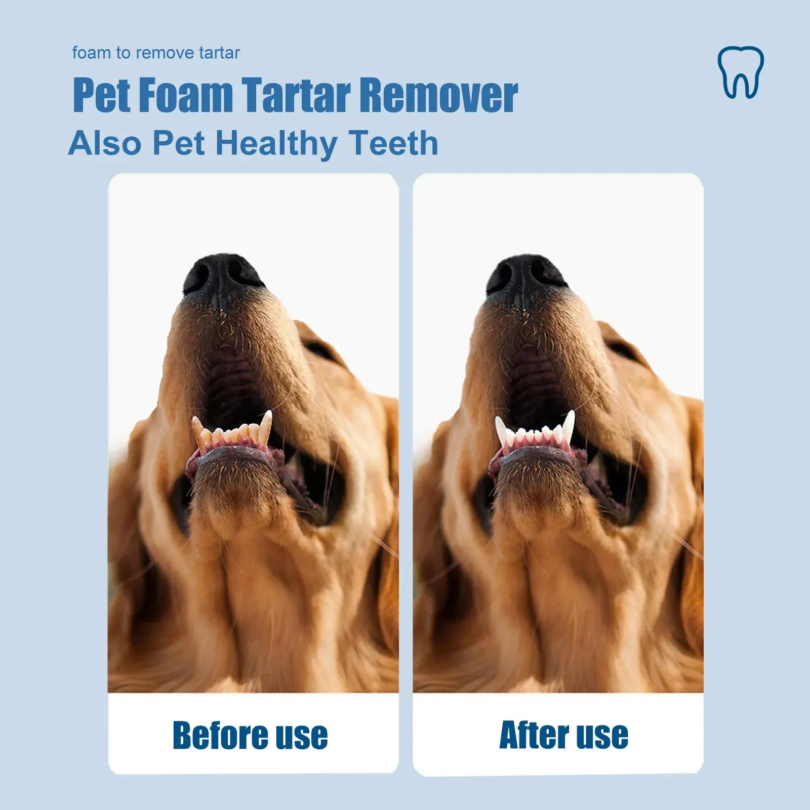 Before and after results of pet tartar removal foam Yebong on a dog's teeth.