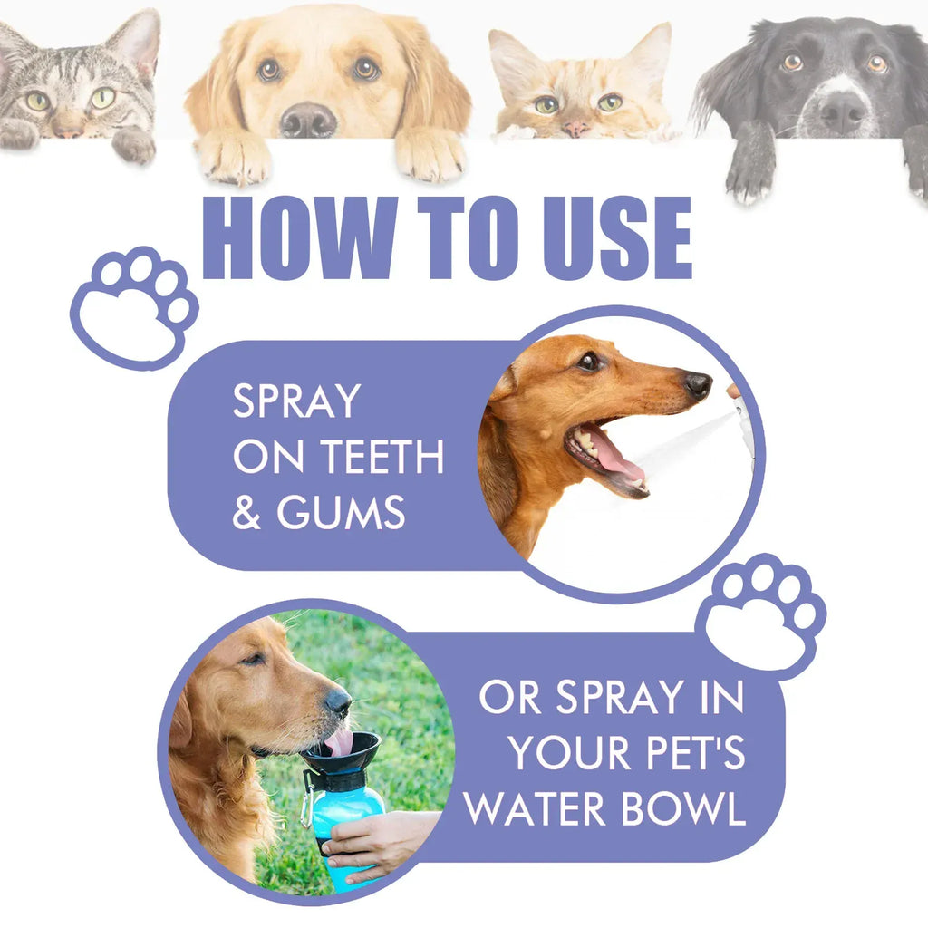 How to use pet teeth cleaning spray Yegbong for oral care in dogs and cats.