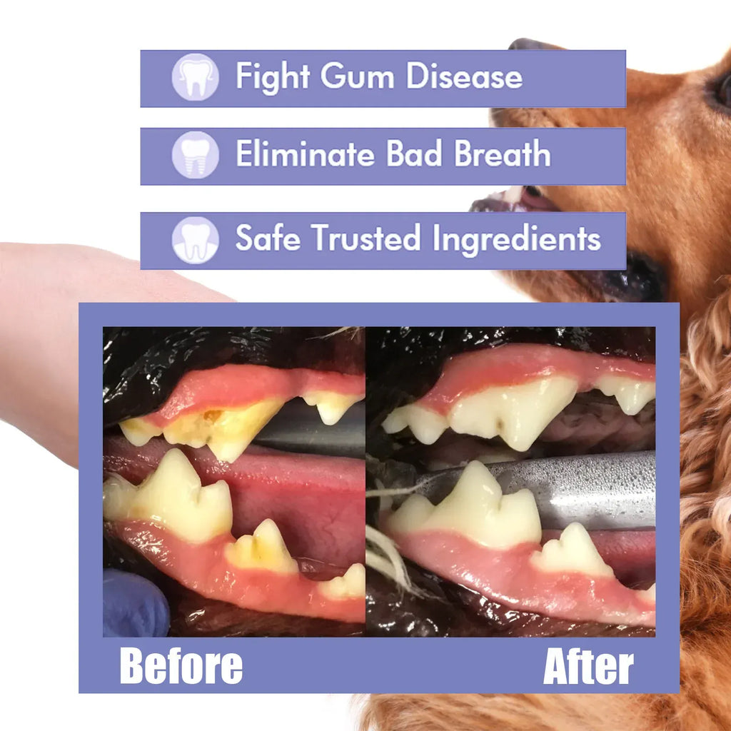 Before and after pet teeth cleaning spray Yegbong showing improved gum health and fresh breath.