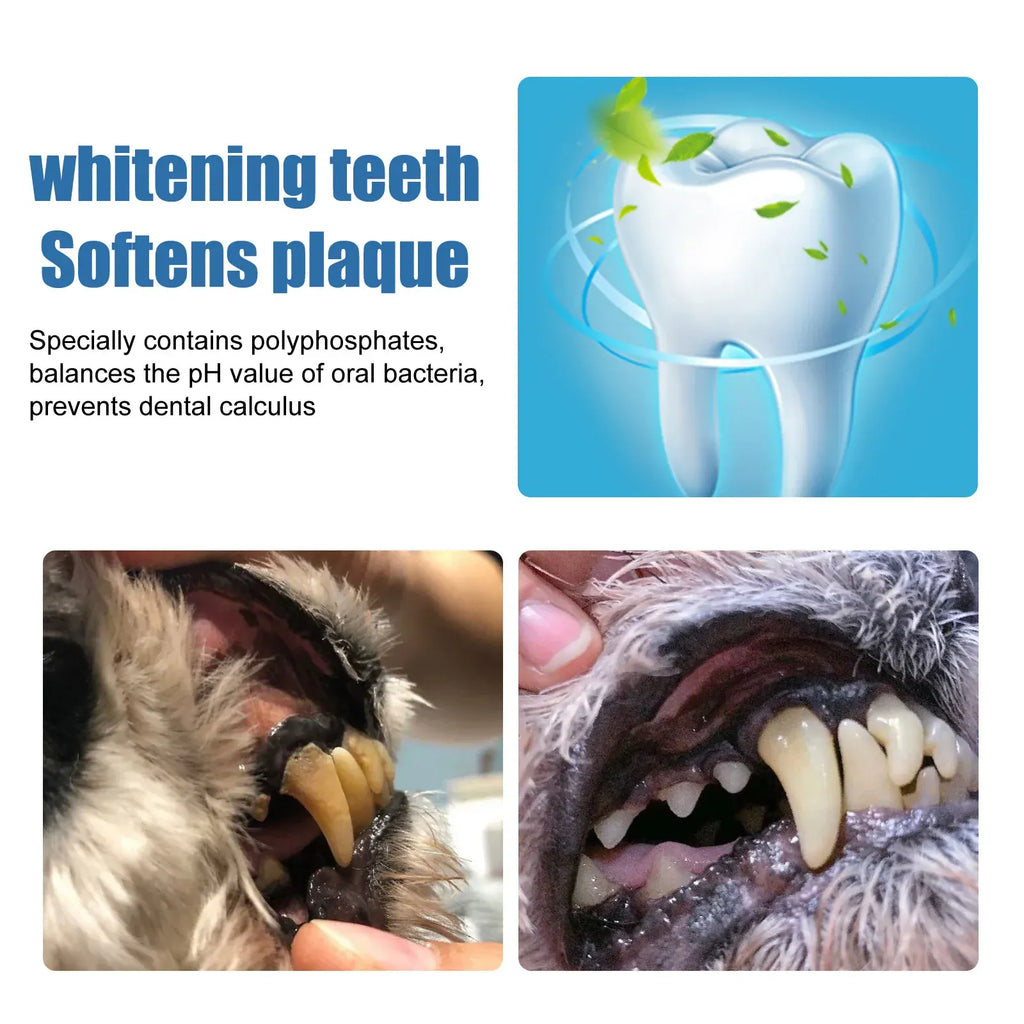 Yebong pet tartar removal foam for dogs and cats, whitening teeth, softens plaque, reduces dental calculus.