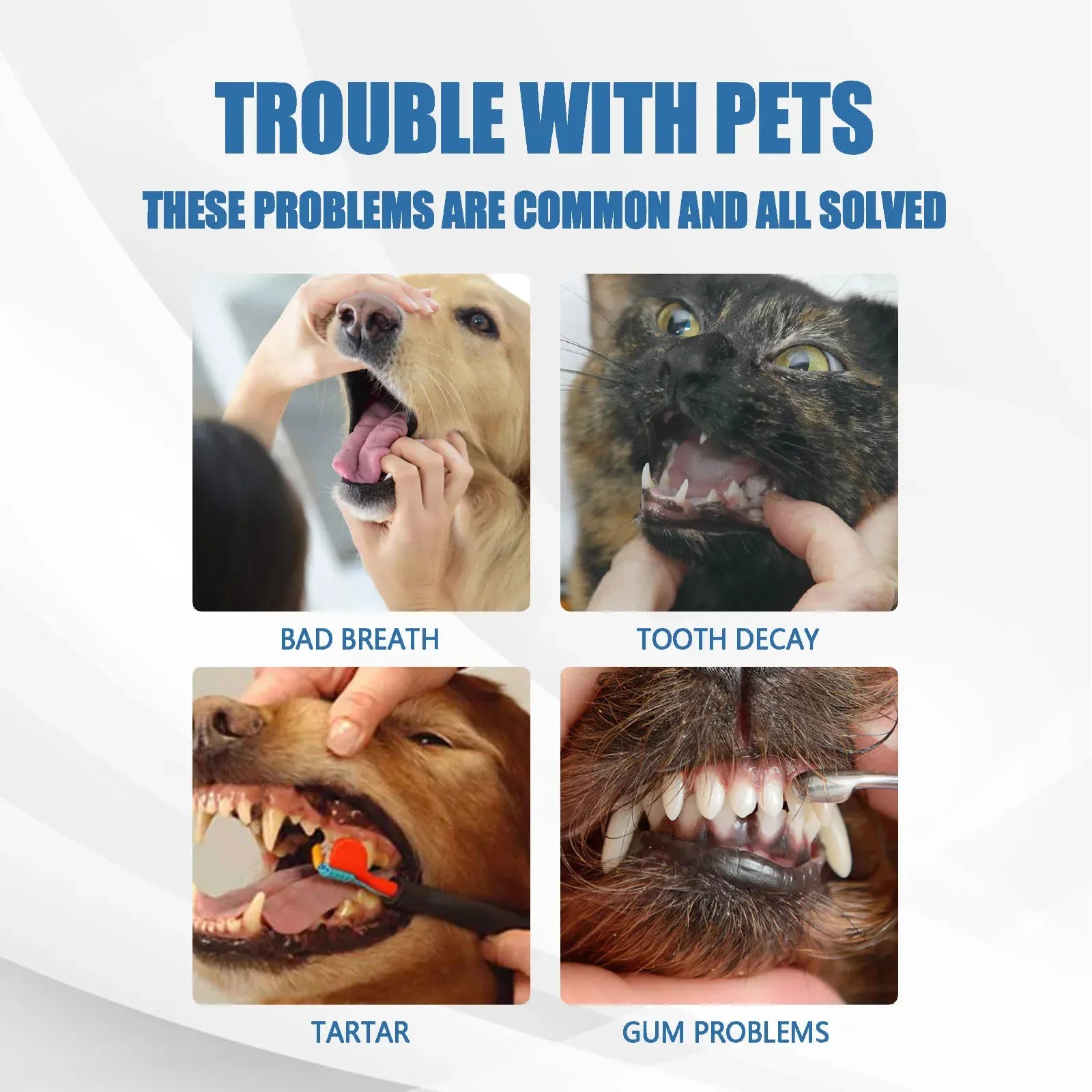 Trouble with pets: common dental problems like bad breath, tooth decay, tartar, and gum issues solved with Yebong