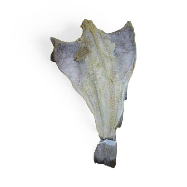 Bacalhau especial vintage Islândia Lugrade seco com etiqueta.