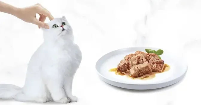 Purina gourmet cat wet food natural