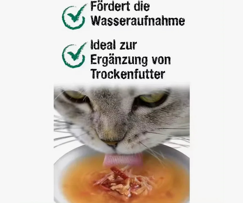 Pack 20X40 Gr - Leonardo Drink. Cat Soup