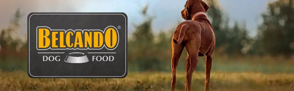 Belcando Ração húmida premium natural para cães