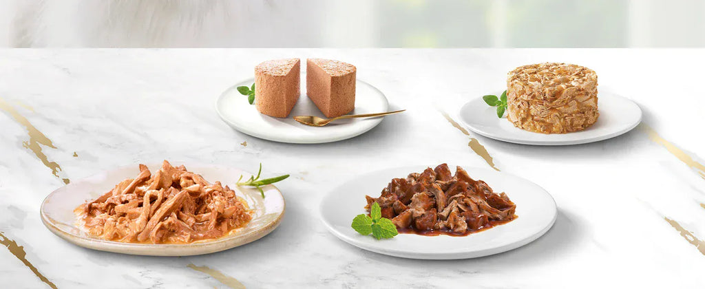 Purina Gourmet Cat Food Assortment Pate Seafood Mix For Cats With Limited Ingredients In Spain Cardio Health