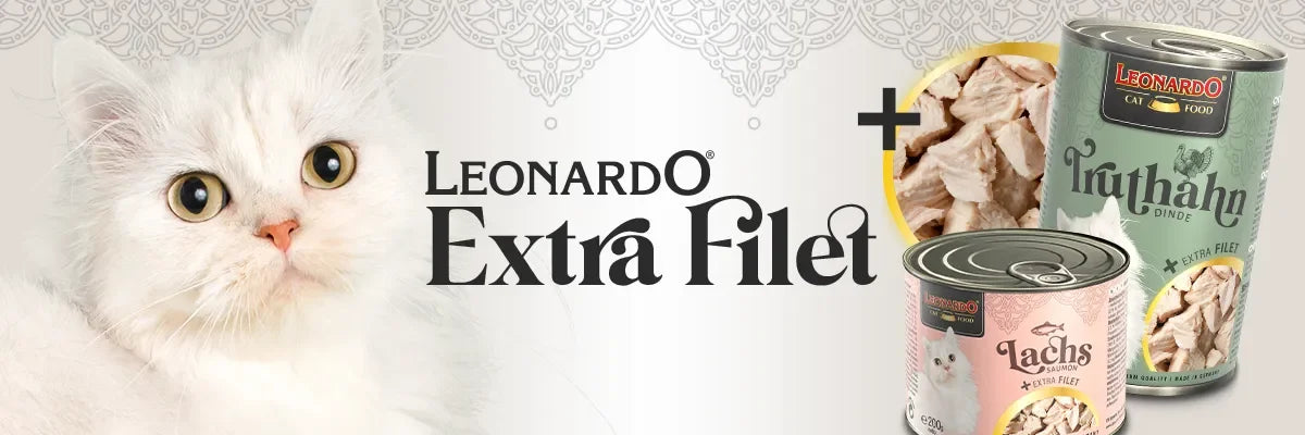 Ração húmida rica em carne para gatos, natural