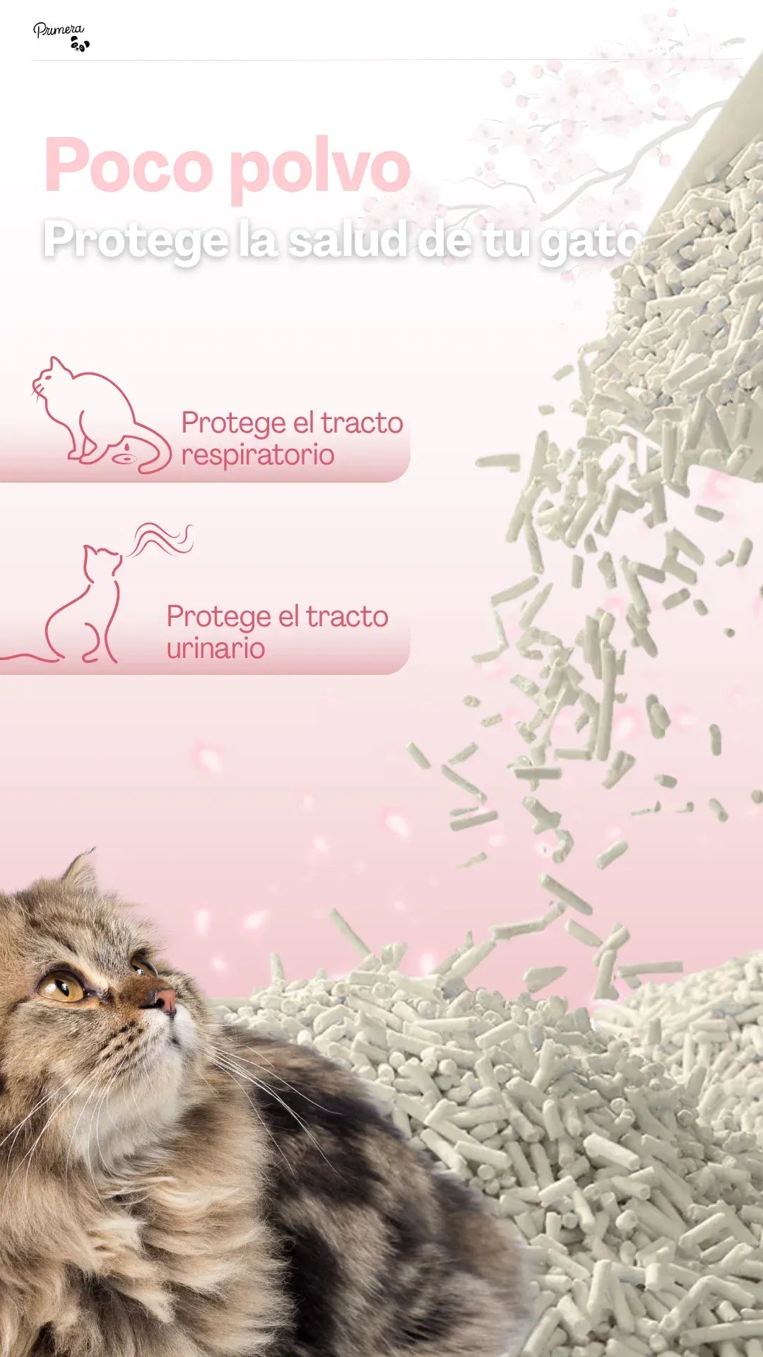 Flushable Tofu Cat Litter 6L Bag Clumping Dust Free Odor Control Biodegradable Toilet Disposal