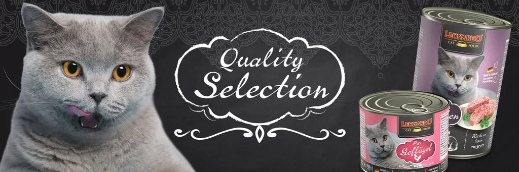 Alimento húmido sem cereais para gatos adultos