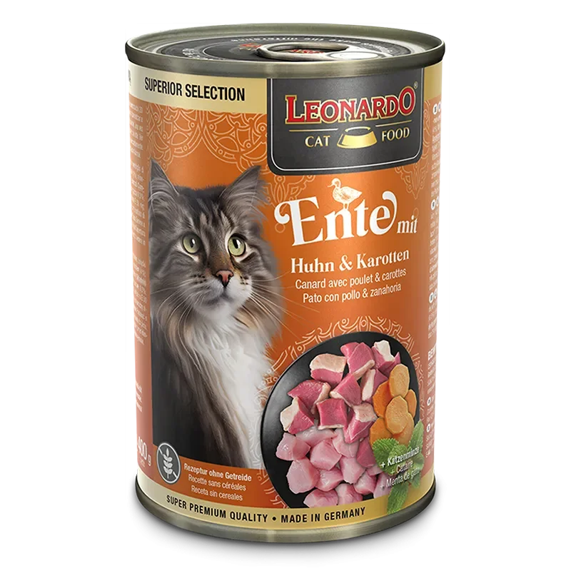 grain-free wet food for adult cats