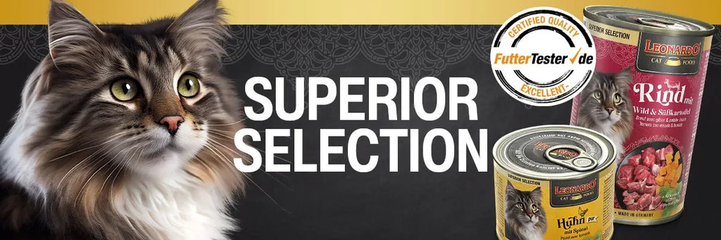 grain-free wet food for adult cats