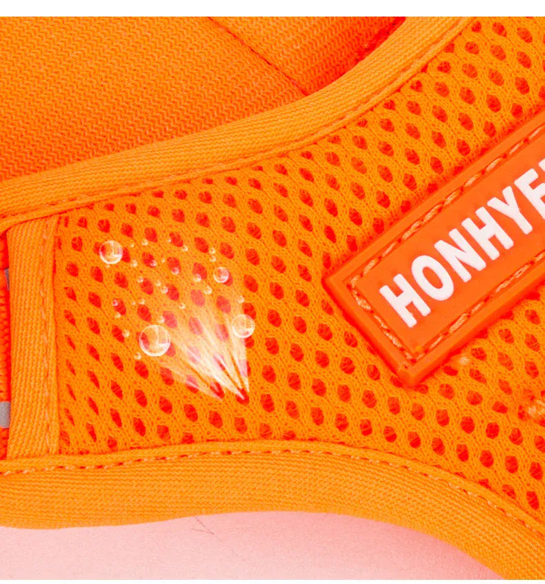 reflective pet harness for outdoor camping