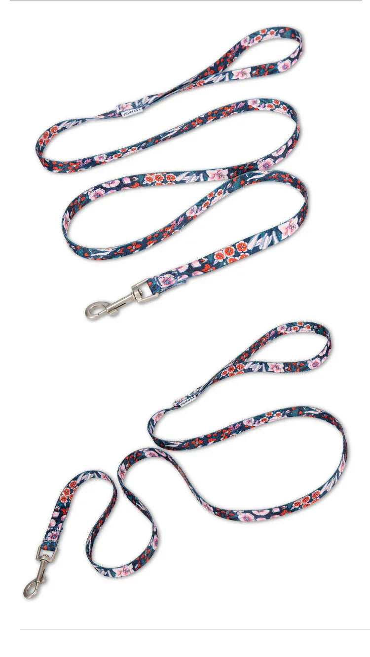 pet training leashes and walking harness