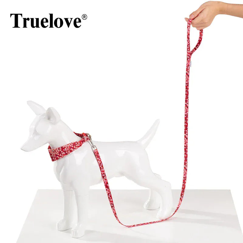 pet training leashes and walking harness