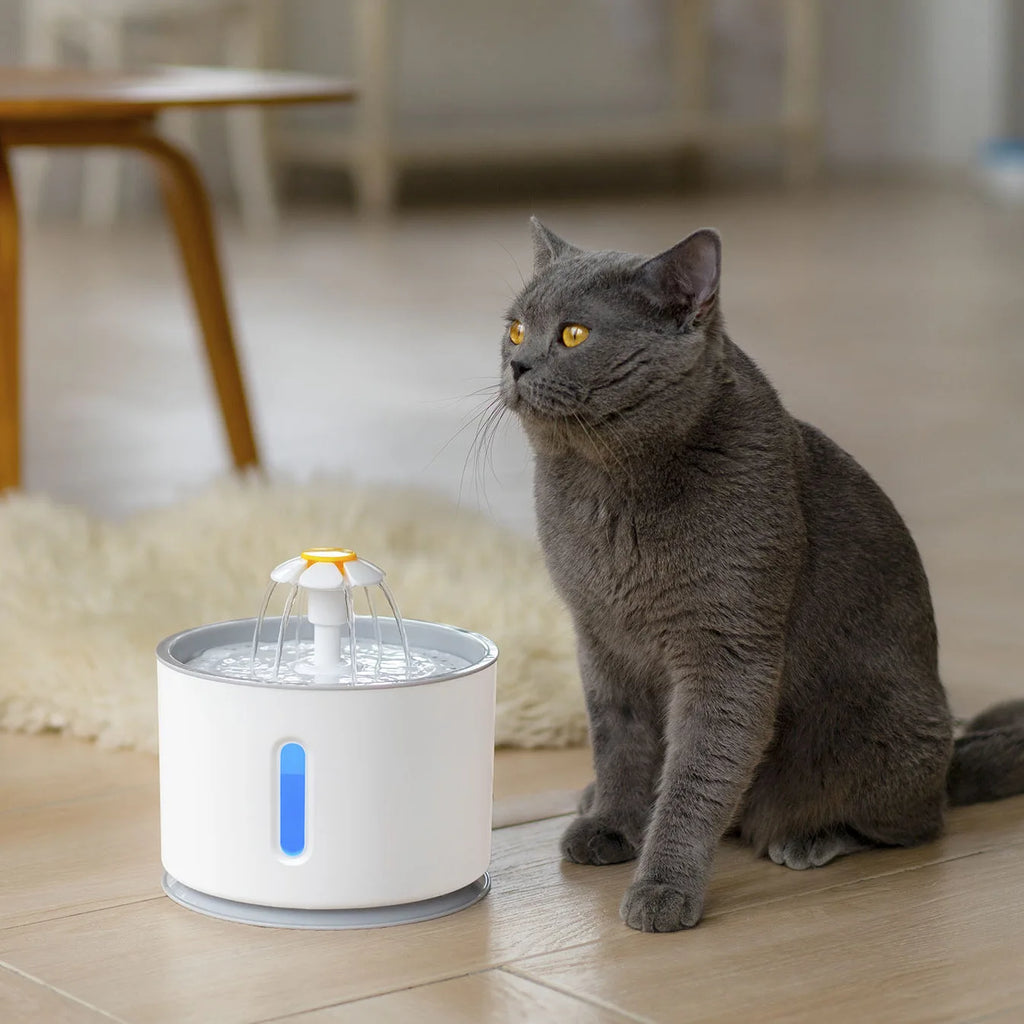 Pet Cat Automatic Water Fountain with LED Lighting
