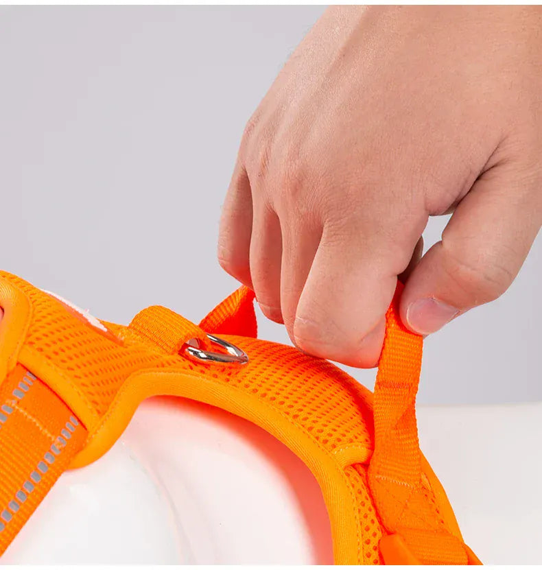 reflective pet harness for outdoor camping