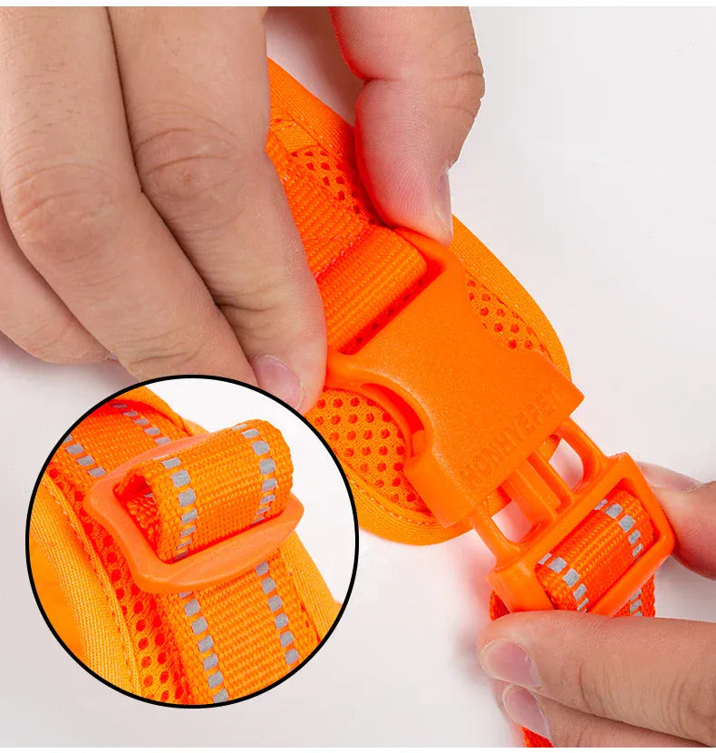 reflective pet harness for outdoor camping