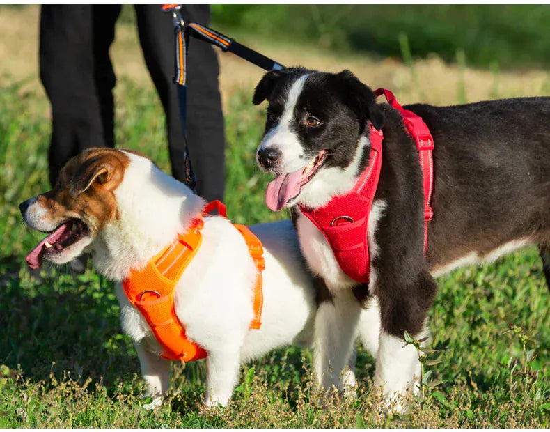 reflective pet harness for outdoor camping