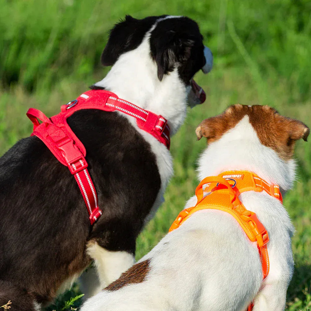 reflective pet harness for outdoor camping