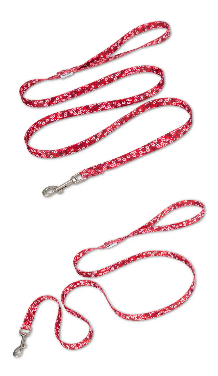 pet training leashes and walking harness