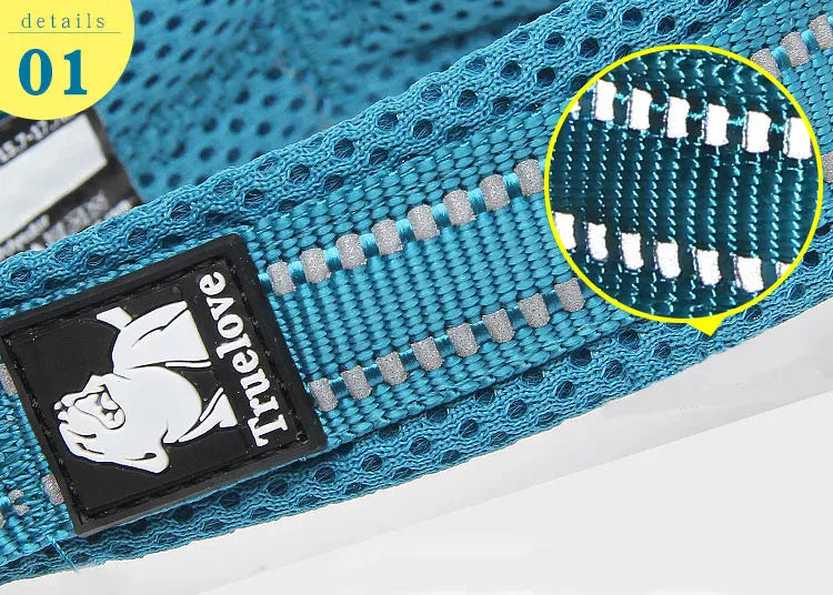 Reflective Dog Collar Adjustable Nylon Quick-Release Padded Person