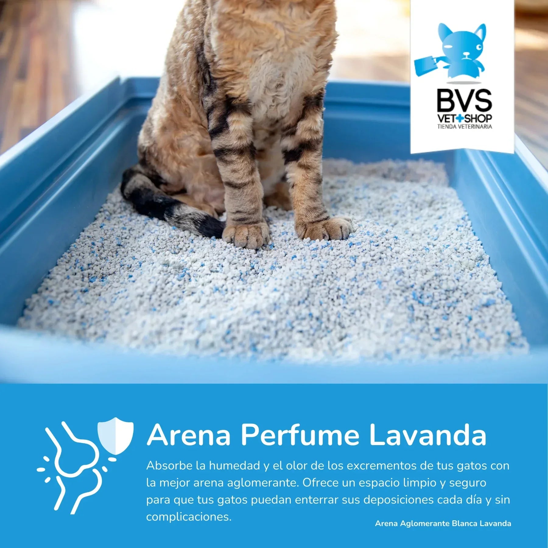 Areia Premium Bentonite Lavanda 5kg - BARAKALDO VET+SHOP Aglomerante - Loja Manuel Coelho