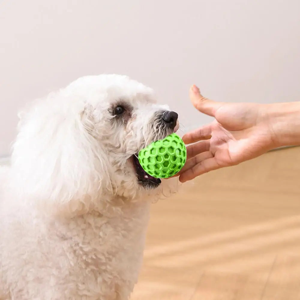 interactive squeaky dog toy balls squeaky dog toy balls held by a dog in a playful setting.