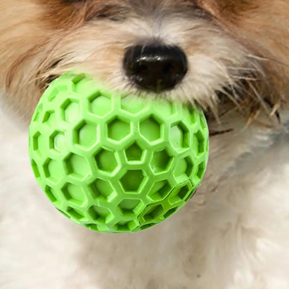 interactive squeaky dog toy balls squeaky dog toy balls held by a playful dog with a fluffy fur.