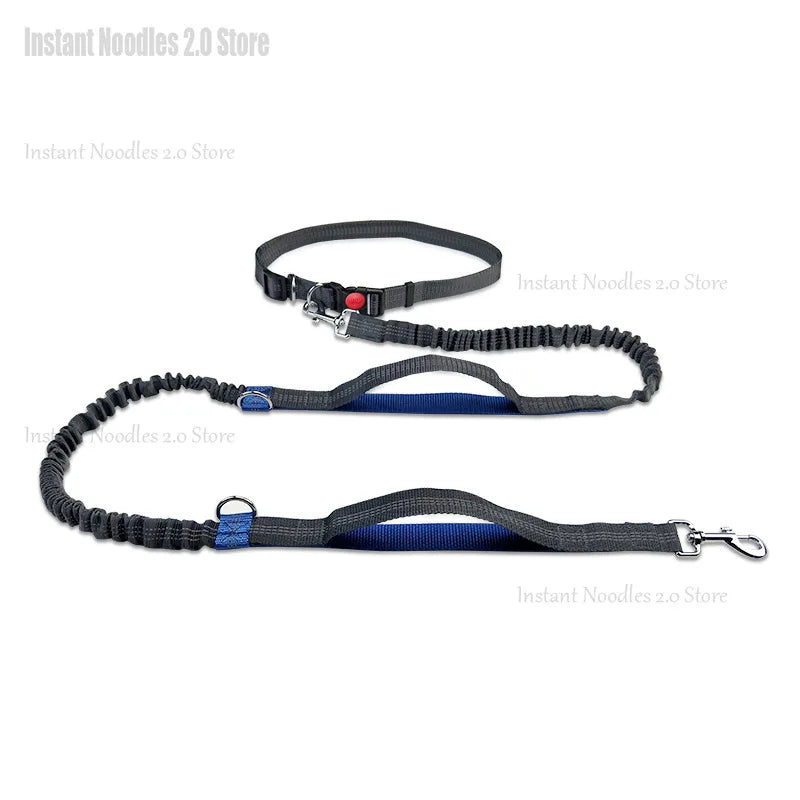 Dog Leash Outdoor Running Walking Reflective Retractable