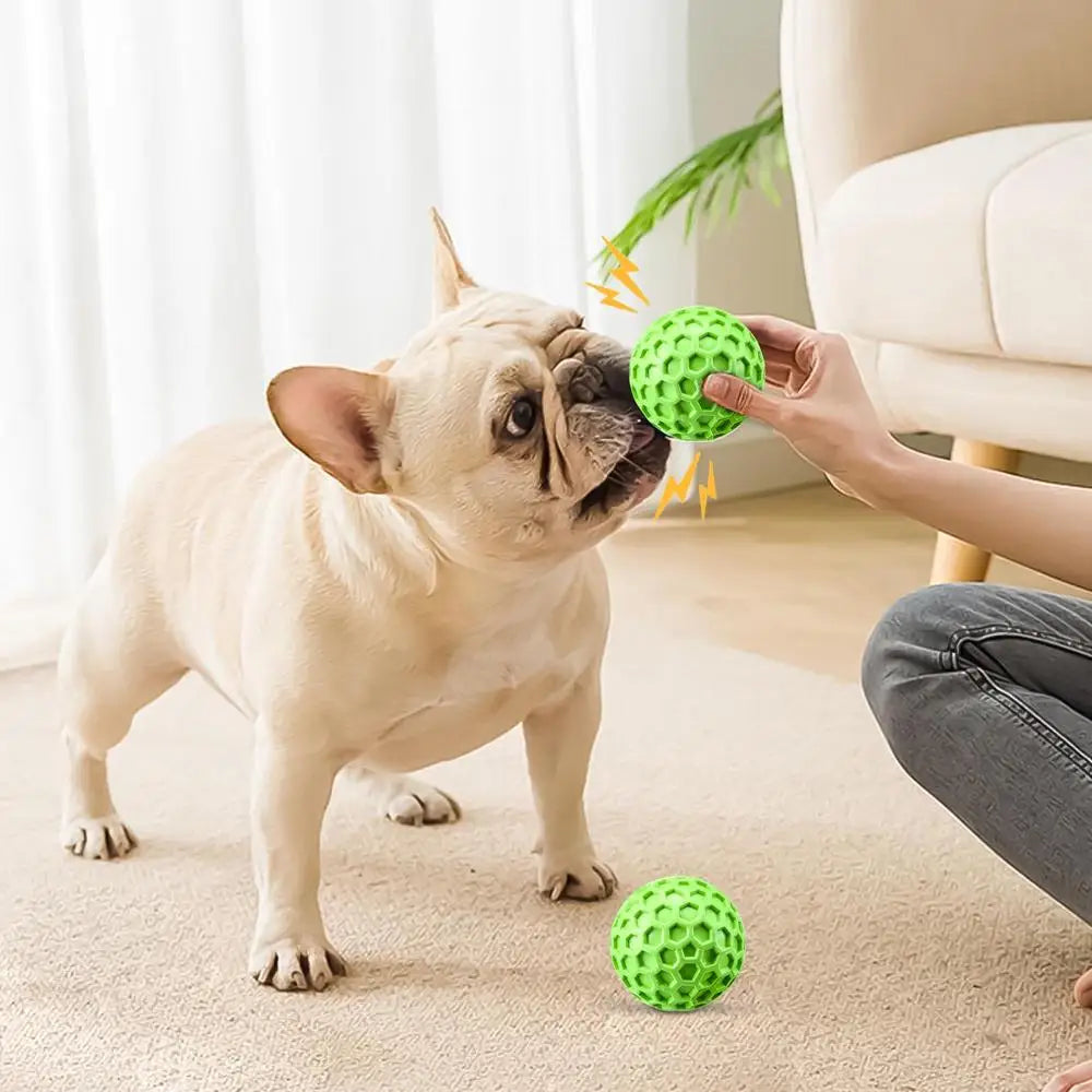 interactive squeaky dog toy balls squeaky dog toy balls with a dog playing fetch indoors.